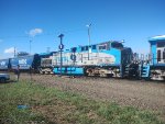 RUMO 9830